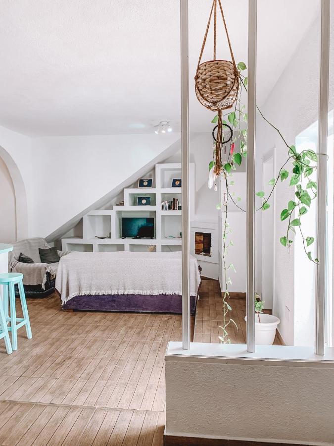 Greentree House Corralejo Eksteriør bilde