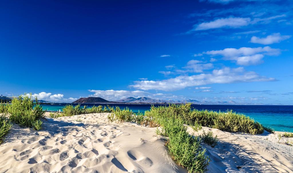 Greentree House Corralejo Eksteriør bilde